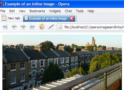 La imatge vista en un navegador
